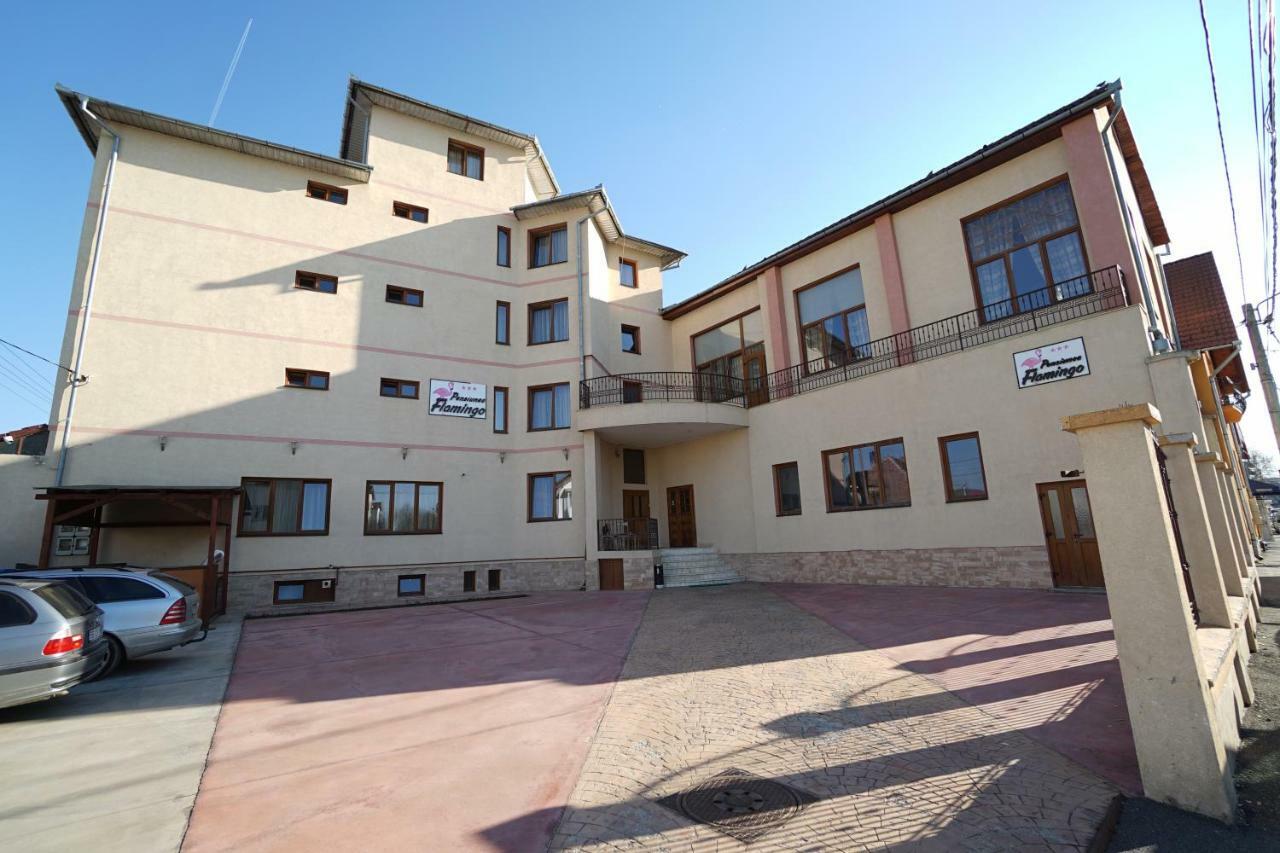 Pensiunea Flamingo Sibiu Exterior foto